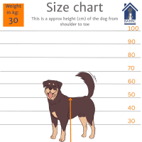 Photo of Marshmallow