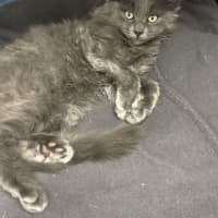 Photo of Bob Barnacles