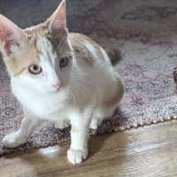 Photo of Spike