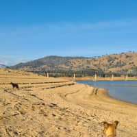 Photo of Tilly (Tandi)