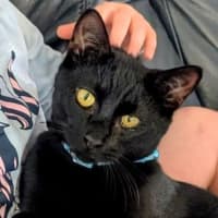 Photo of Uno