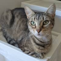 Photo of Tabitha
