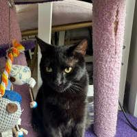 Photo of Lulu