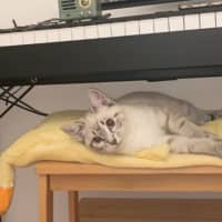Photo of Lilly