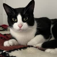 Photo of Kiki