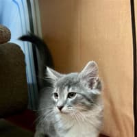 Photo of Storm