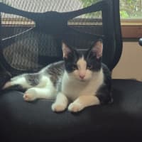 Photo of Roger
