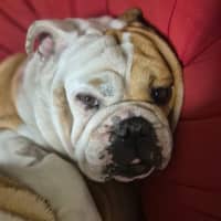 Photo of Sally & Jasper