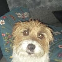 Photo of Bolt O'cleary