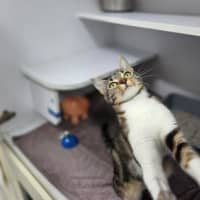 Photo of Sploosh