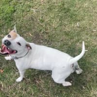 Photo of Molly (0976)