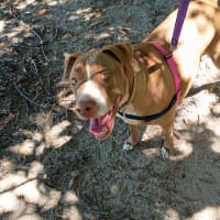 Photo of Xena