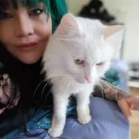 Photo of Minka (Located In Wantirna South)