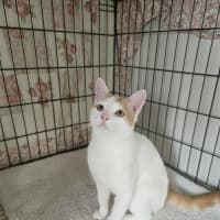 Photo of Theodore 