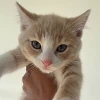 Photo of Maui & Wowie