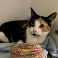 Photo of Jemima