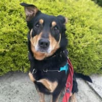 Photo of Sonny