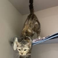 Photo of Athena
