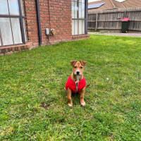 Photo of Bandit