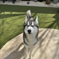 Photo of Jack 