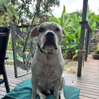 Photo of Axel
