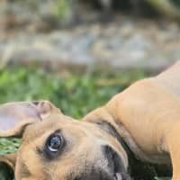 Photo of Laylei