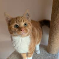 Photo of Bibby