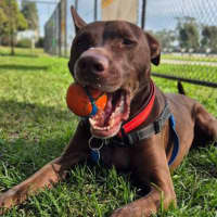 Photo of Apollo
