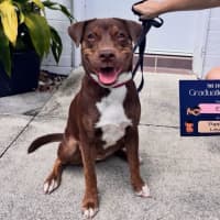 Photo of Bingo Ellie