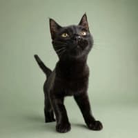 Photo of Velma