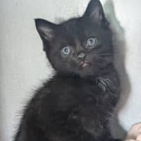 Photo of Fidget