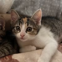 Photo of Kiki   Penelope