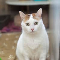 Photo of Paloma