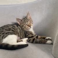 Photo of Adeline