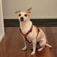 Photo of Sam