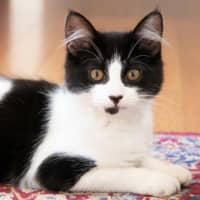 Photo of Gretel Moriarty