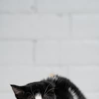 Photo of Lucy
