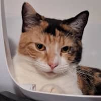 Photo of Salsa