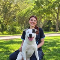 Photo of Patch