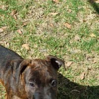 Photo of Chuggy