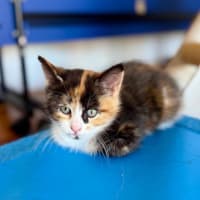 Photo of Sienna 🌷