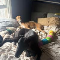 Photo of Cindy Lou Who