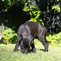 Photo of Lumen