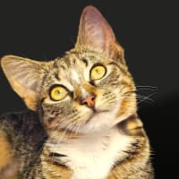 Photo of Lily