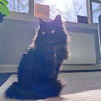 Photo of Sootie Uffelman