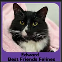 Photo of Edward