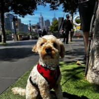 Photo of Anson Lozano