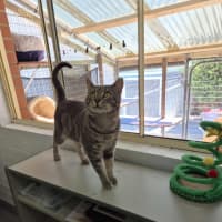 Photo of Draco! 🎩