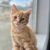 Photo of Indy