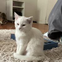 Photo of Rumi & Finn